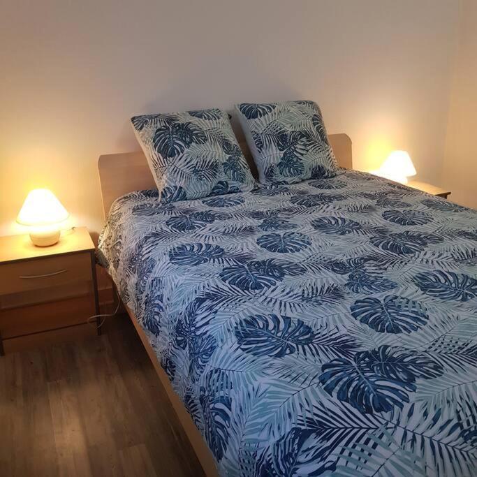 Villa Chez Nino Wifi Gratuit à Beaulieu-sur-Loire Extérieur photo